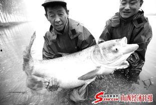 天津水产爆料事件最新,揭露海鲜市场惊人内幕，食品安全再引关注  第2张