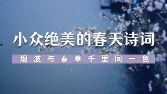 爆料诗词文案视频,短视频爆料背后的文化传承  第1张